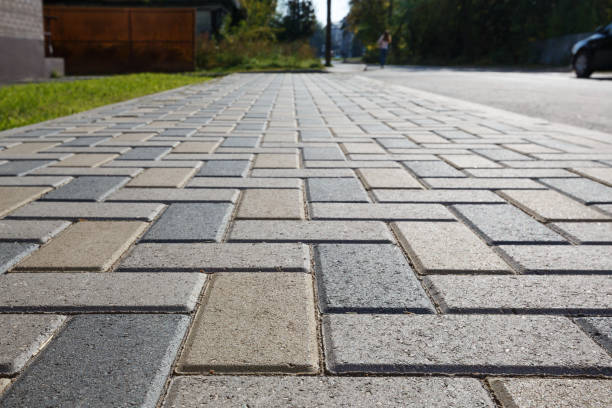 Best Driveway Drainage Solutions in Downs, IL